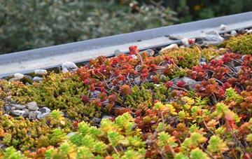 the cost of Washall Green green roof installation